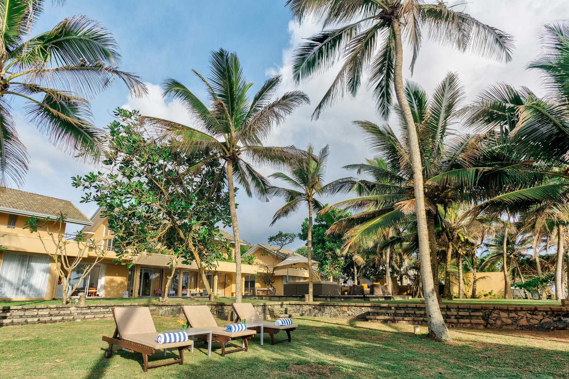 Beachfront villa pool and tropical garden with swaying palm trees in Wadduwa