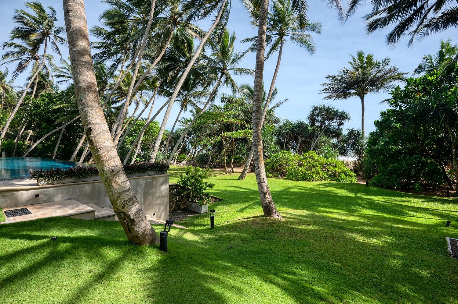 Tropical garden and lawn with pool and coconut palms at Kirana Villa, Bentota