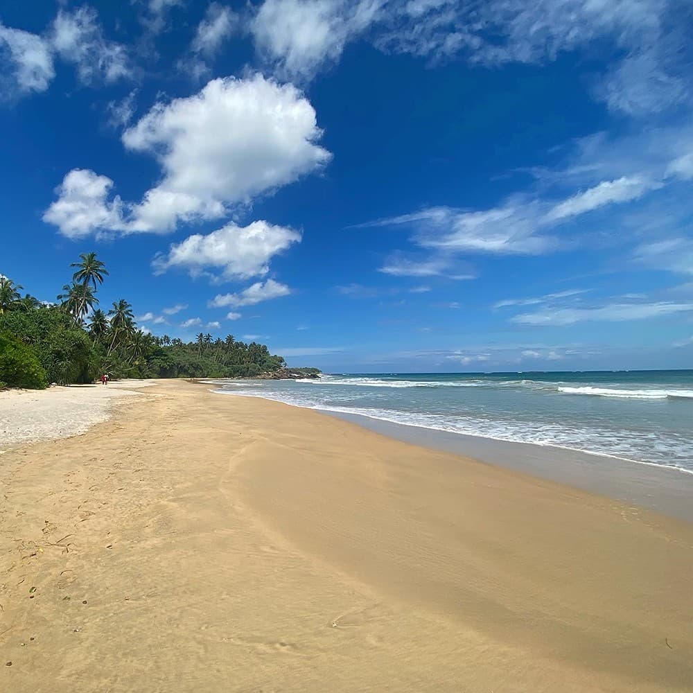 Beach wide with palms and blue sky, Villa Monara Tangalle