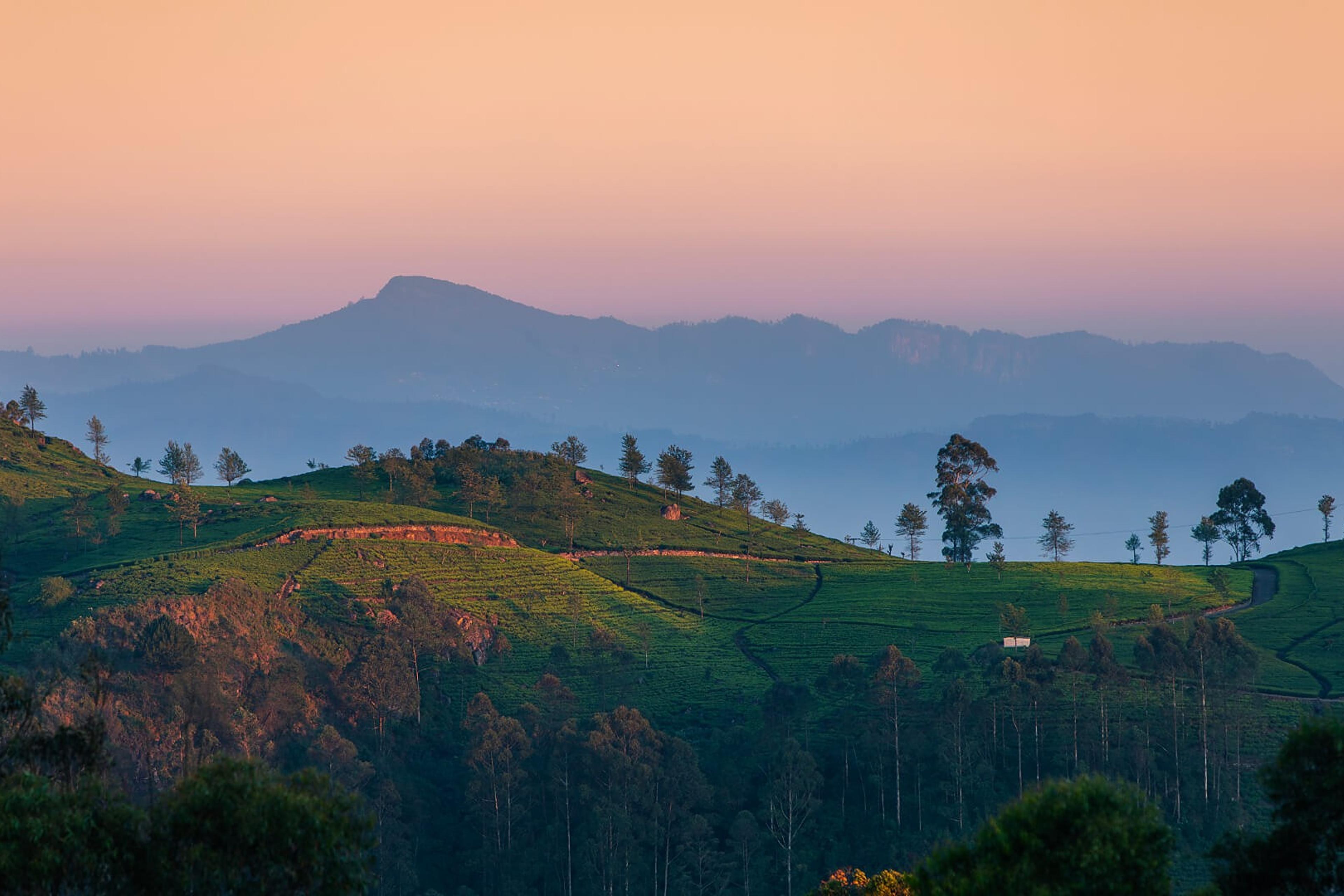 Villas in Nuwara Eliya