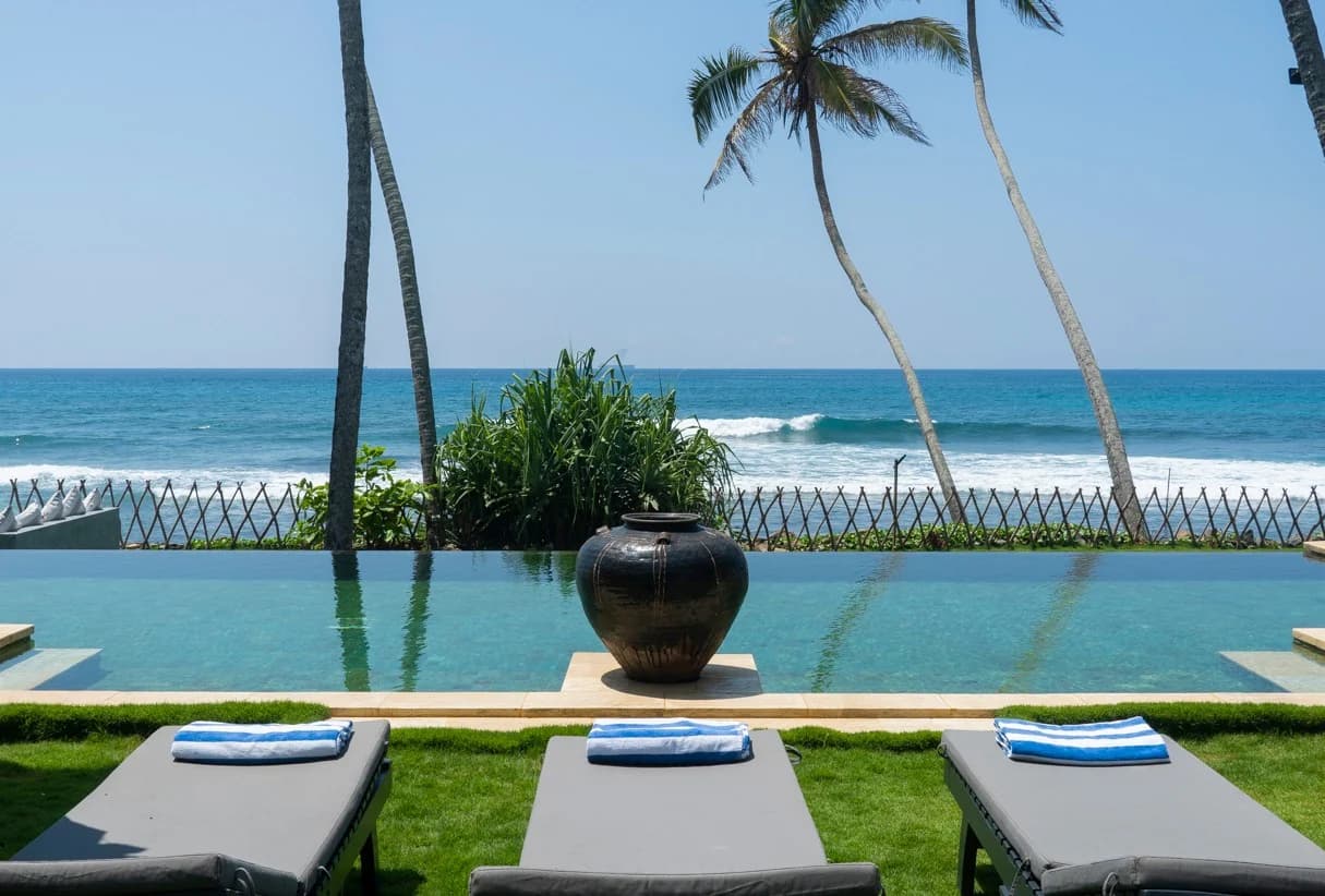 An infinity pool under tall palms looking out to breaking surf, with loungers on the lawn