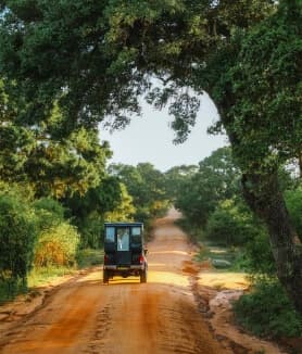 Wild Sri Lanka, Unrushed