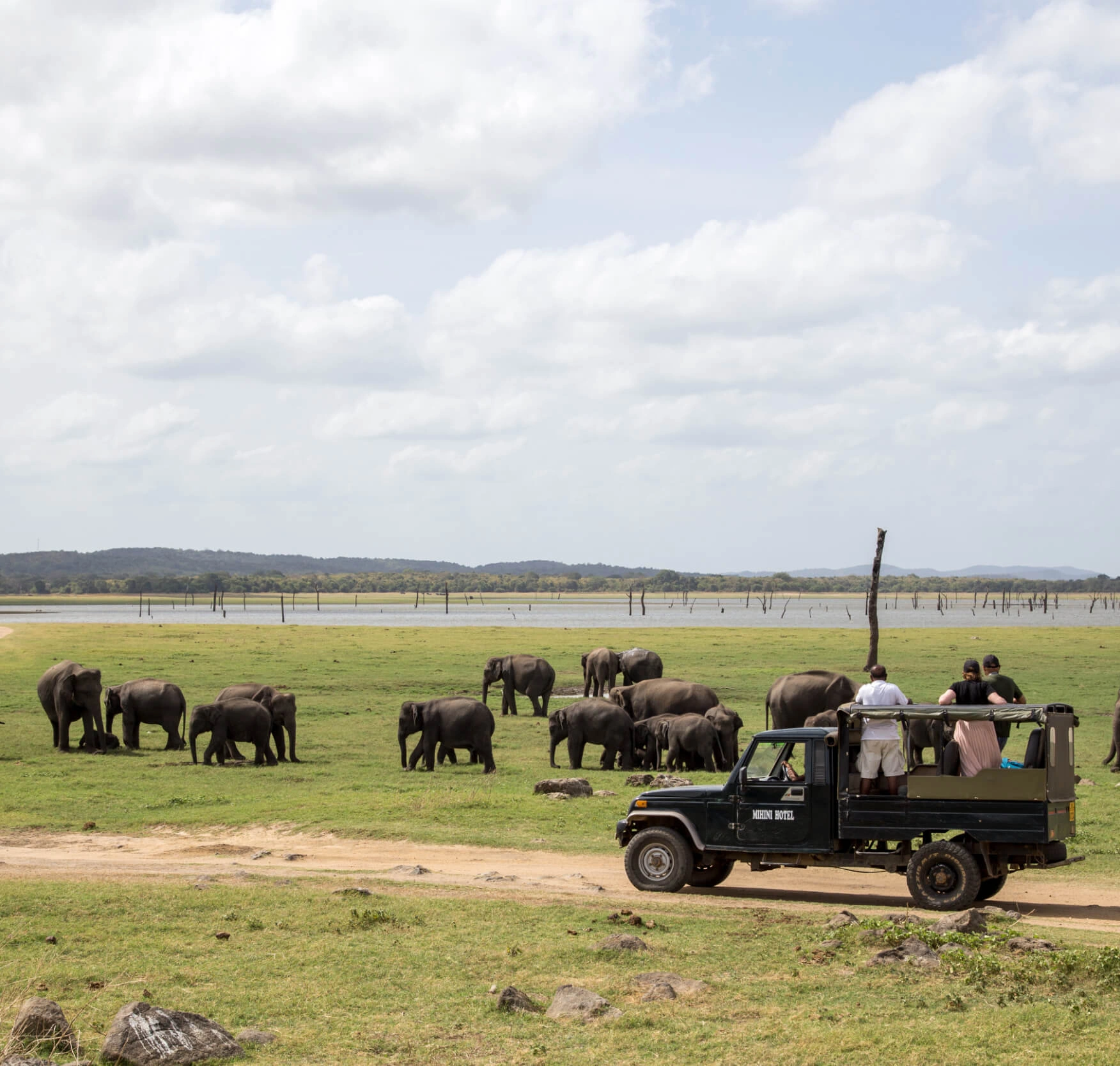 Safaris