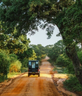 Wild Sri Lanka, Unrushed